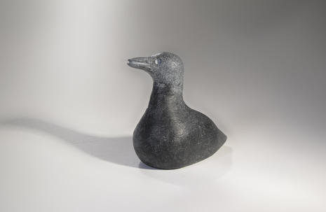www.taipanakbird.jpg